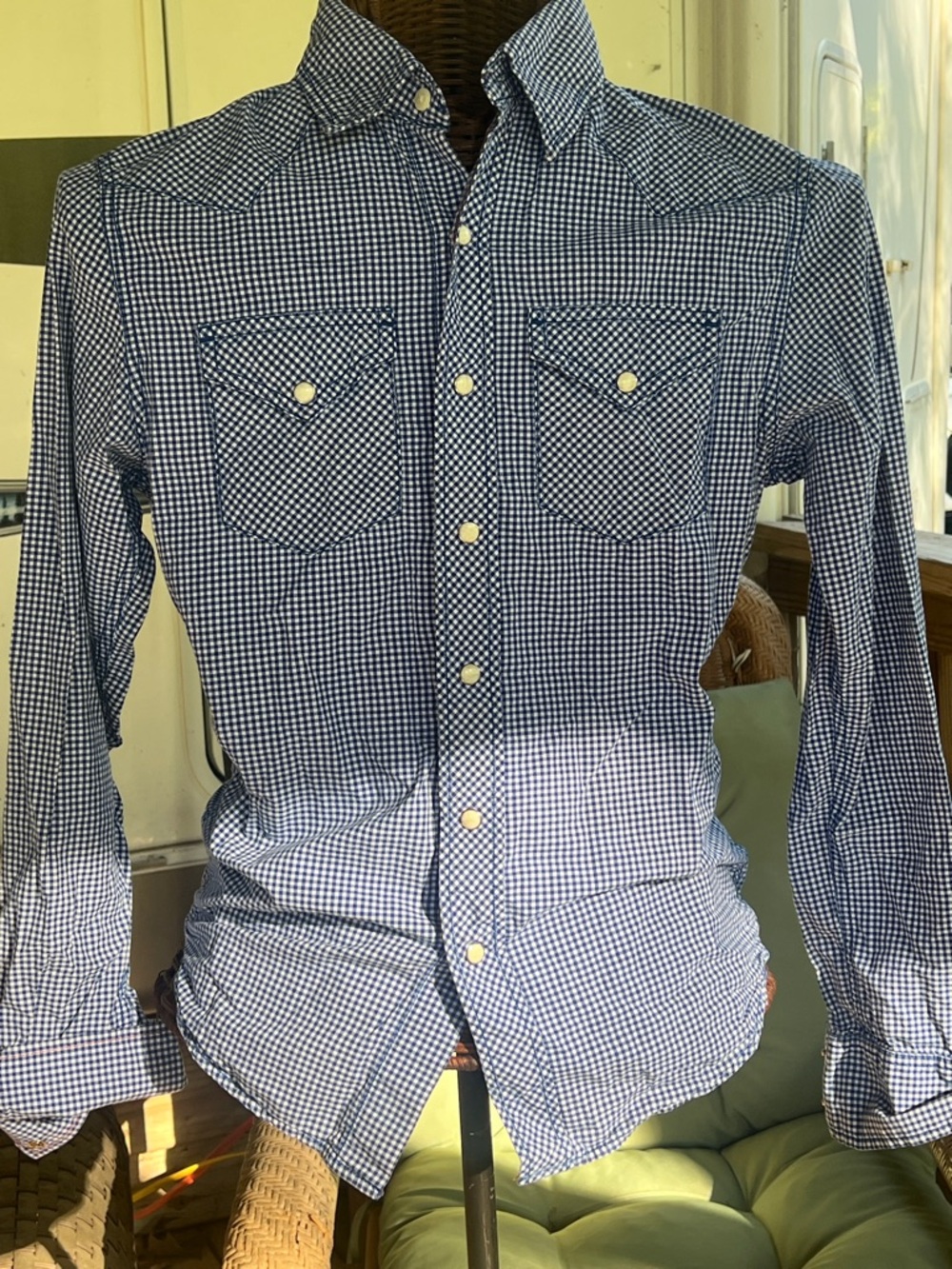 AE Vintage Fit Men's Blue Check Button-Down Western Shirt